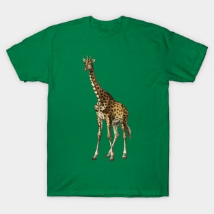 Long Neck African Safari Giraffe T-Shirt